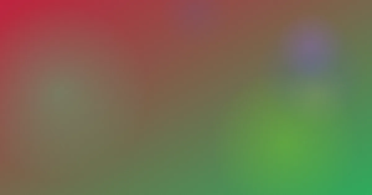 一级黄色带测评避坑版
